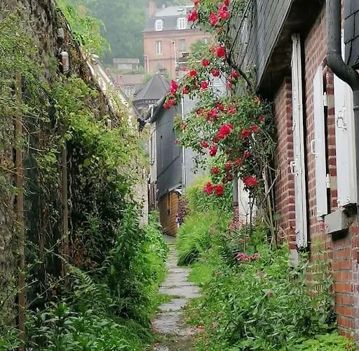 O P'tit 44 + Terrasse Dans Le Vieux * 옹플뢰르